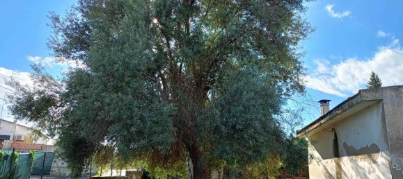 3غرفة فيلا في Syracuse, Italy رقم 250056 2