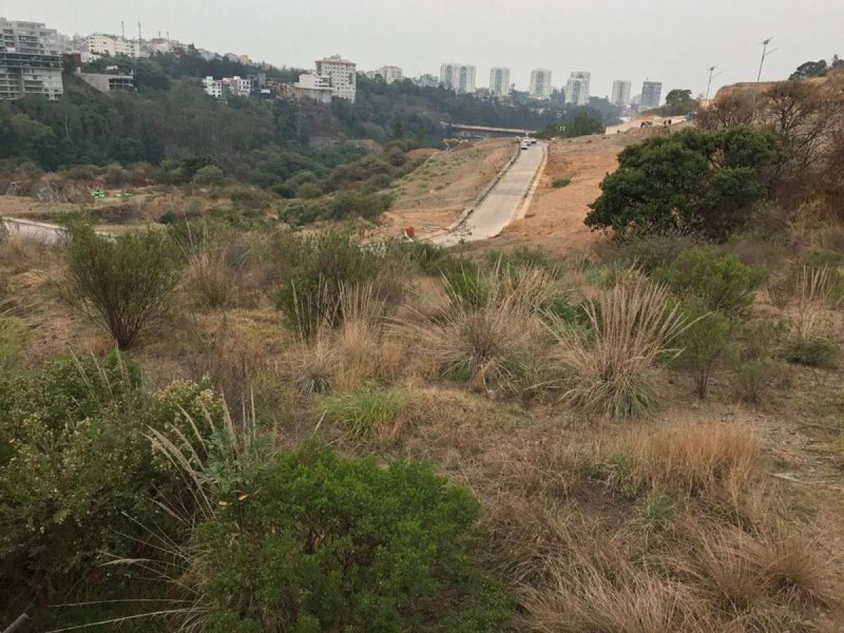  Land in Mexico No. 202875