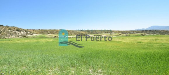 20000m² Land in Mazarron, Spain No. 106571 2