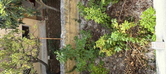 Casa de 2 dormitorios en Custonaci, Italy No. 300606 4