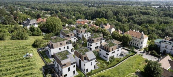 5 rooms Castles in Klosterneuburg, Austria No. 185300 2