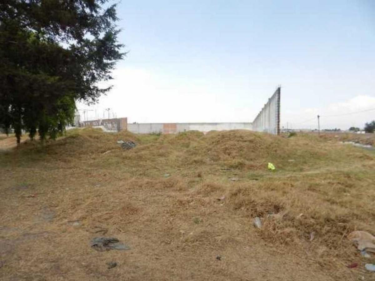  Land in San Buenaventura, Mexico No. 204482