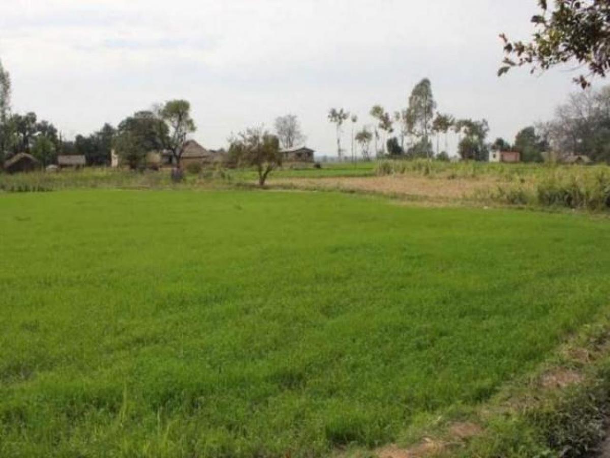  Land in Ghaziabad, India No. 34786