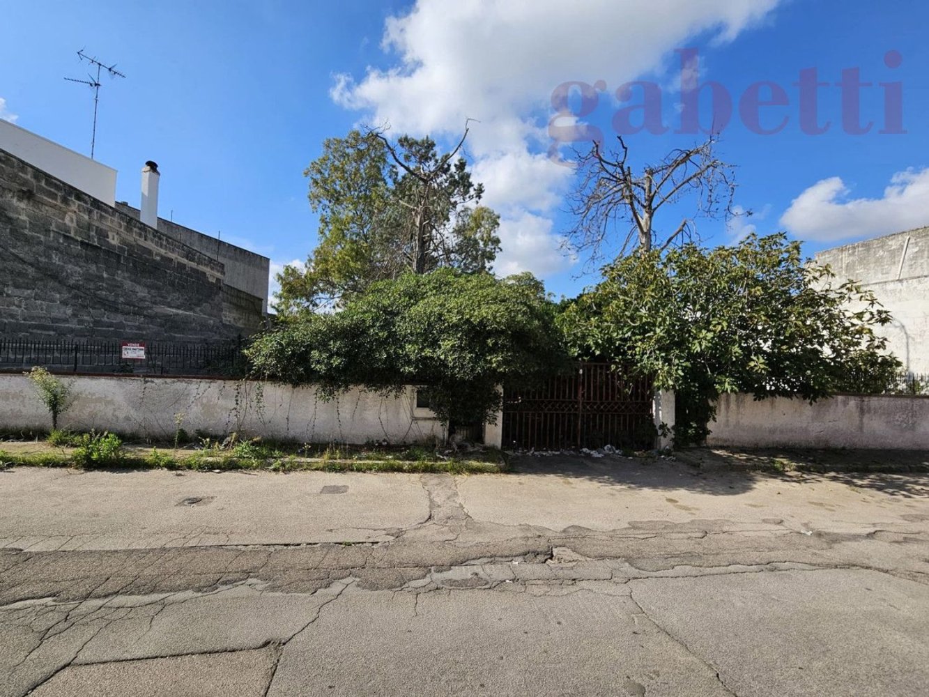 584m² Land in Copertino, Italy No. 161432