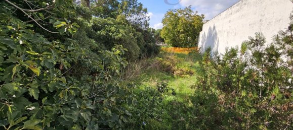 584m² Land in Copertino, Italy No. 161432 5