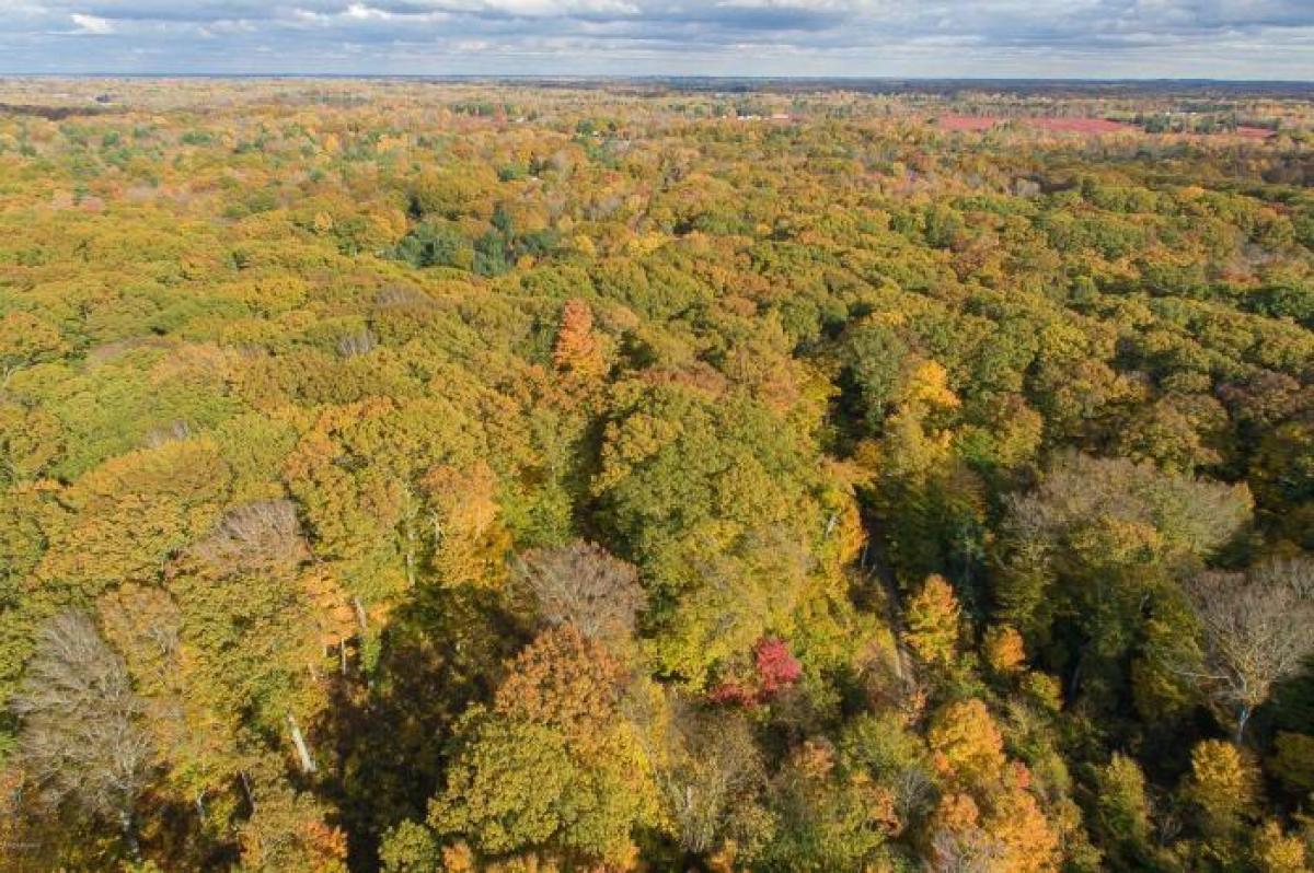  قطعة أرض في South Haven, USA رقم 465796