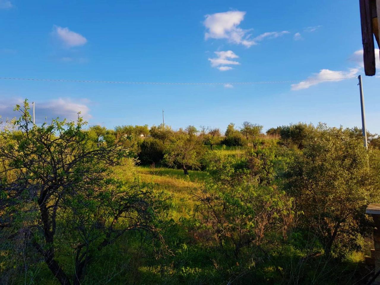 25000m² Land in Avola, Italy No. 119711