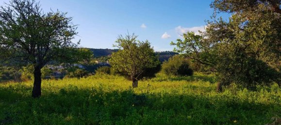 25000m² Land in Avola, Italy No. 119711 6
