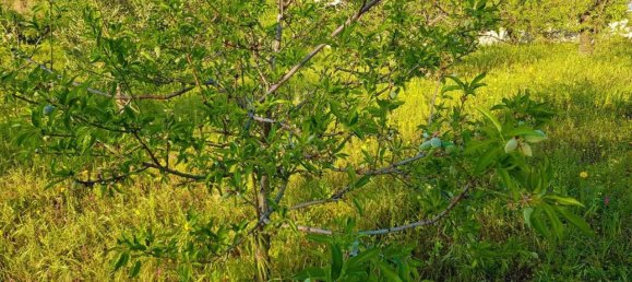 25000m² Land in Avola, Italy No. 119711 2