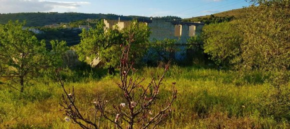 25000m² Land in Avola, Italy No. 119711 14