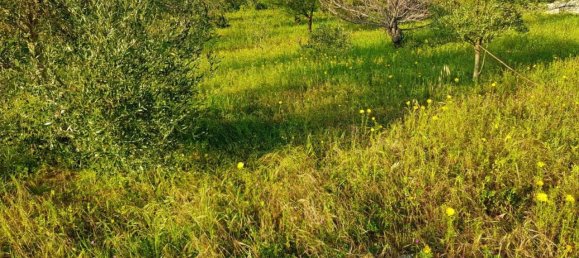 25000m² Land in Avola, Italy No. 119711 13