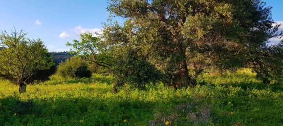 25000m² Land in Avola, Italy No. 119711 7