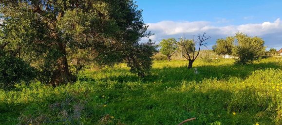 25000m² Land in Avola, Italy No. 119711 4