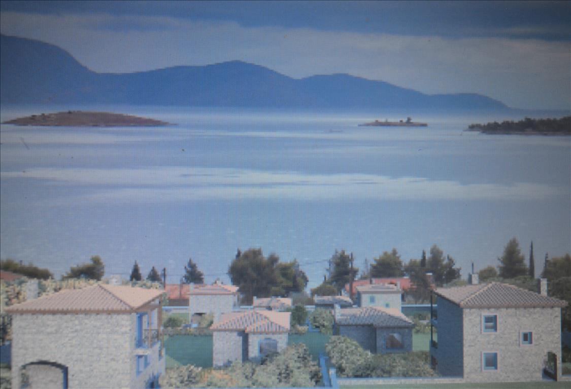  Property in Phocis, Greece No. 6716