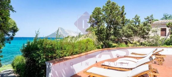Villa T4 em San Teodoro, Italy N.º 63684 5