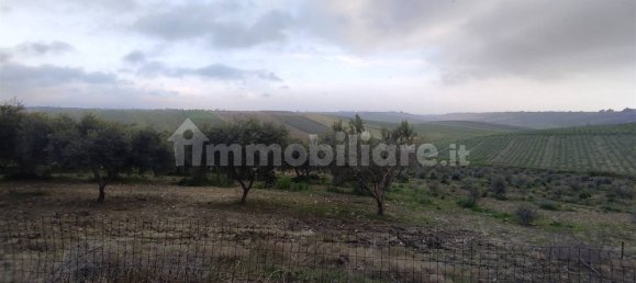 Grundstück in Sciacca, Italy 18000m², Nr. 71412 8