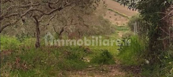 Grundstück in Sciacca, Italy 18000m², Nr. 71412 4