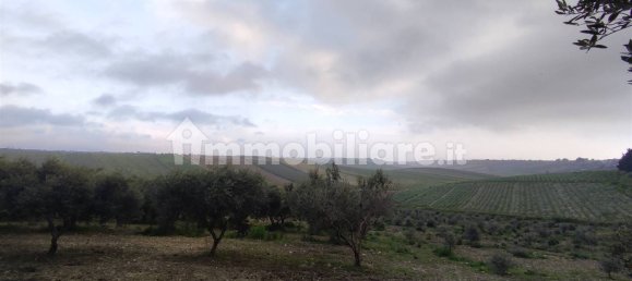 Grundstück in Sciacca, Italy 18000m², Nr. 71412 6