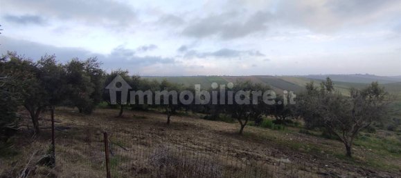 Grundstück in Sciacca, Italy 18000m², Nr. 71412 9