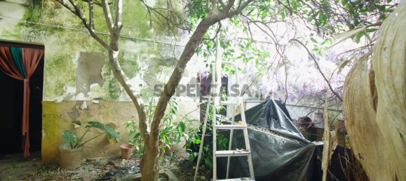 3 Schlafzimmer Haus in Alter do Chao, Portugal, Nr. 283268 12