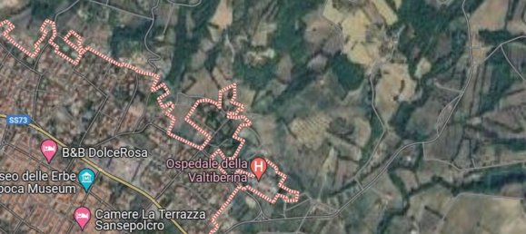 3740m² Land in Sansepolcro, Italy No. 43916 13