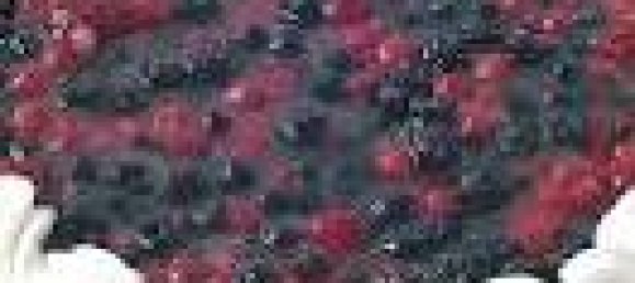 85m² Commercial property in Milan, Italy No. 243767 18