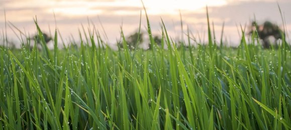 803m² Land in Castelfranco Veneto, Italy No. 2889 20