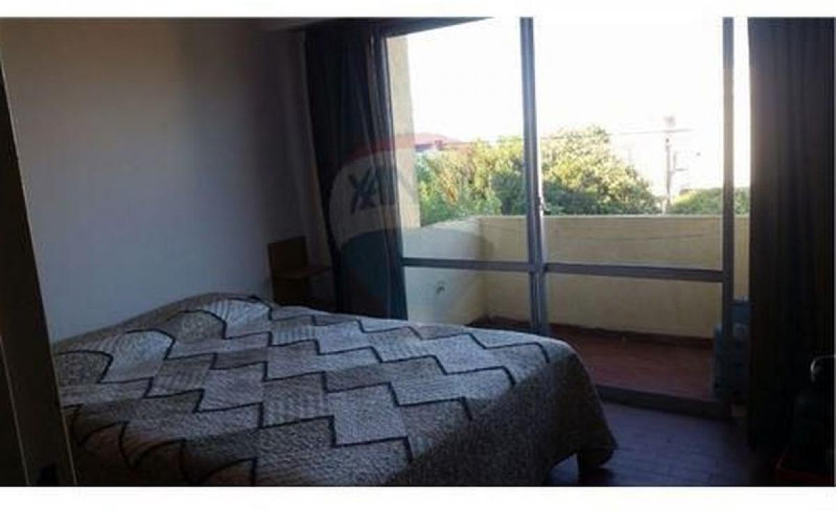 استوديو في Mar del Plata, Argentina رقم 103155