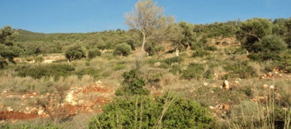 terreno en venta en Lefkada, Kefalonia, Ionian Islands, Peloponnese, Western Greece and the Ionian, Greece № 802 4