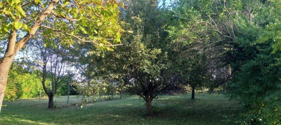 2-Zimmer Haus in Schachendorf, Austria, Nr. 149103 20