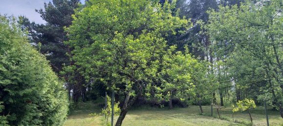 2-Zimmer Haus in Schachendorf, Austria, Nr. 149103 21