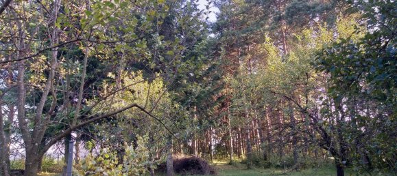 2-Zimmer Haus in Schachendorf, Austria, Nr. 149103 22