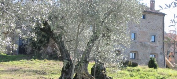 Дом с 10 спальнями в Кортона, Италия № 235 6