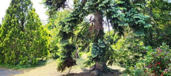 5غرفة منزل في Puchenstuben, Austria رقم 186167 2