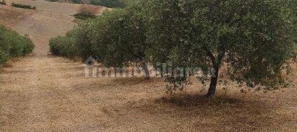 4 bedrooms House in Ariano Irpino, Italy No. 286929 11