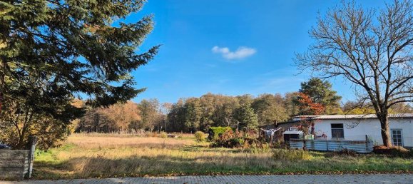 Terreno em Oder-Spree, Germany N.º 74274 6