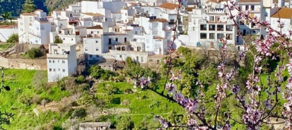 4 bedrooms Townhouse in Istan, Spain No. 144432 21