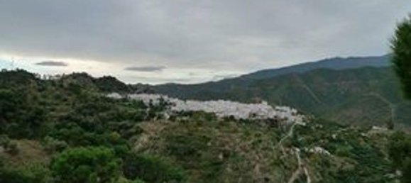 4 bedrooms Townhouse in Istan, Spain No. 144432 34