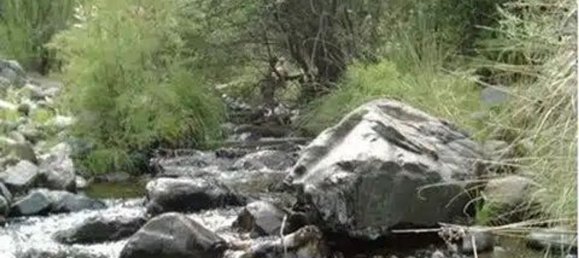 4 bedrooms Townhouse in Istan, Spain No. 144432 26