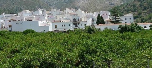 4 bedrooms Townhouse in Istan, Spain No. 144432 28