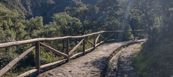 4 bedrooms Townhouse in Istan, Spain No. 144432 30