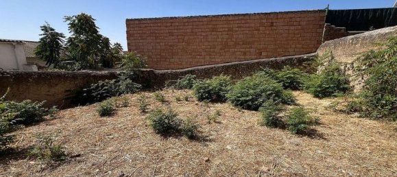 Terrain à Padul, Spain 171m² No. 182170 2