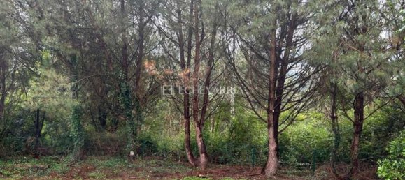 Casa de 5 dormitorios en Comunidad Autónoma Vasca, Spain No. 159594 6