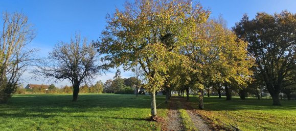 5 bedrooms House in Bossee, France No. 50818 3