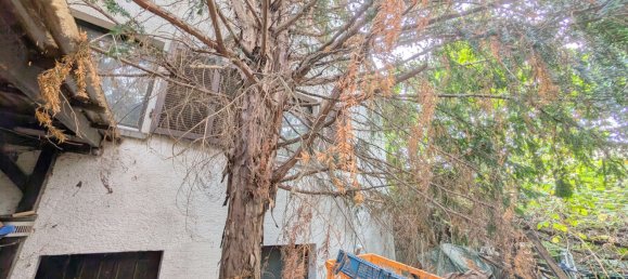 Grundstück in Frankenthal, Germany, Nr. 276223 35