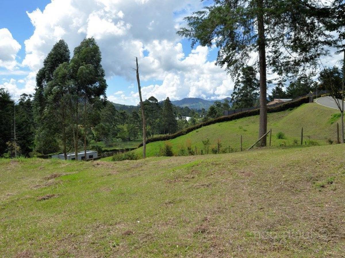  Land in Antioquia, Colombia No. 455