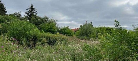 1001m² Land in Gustrow, Germany No. 189199 2