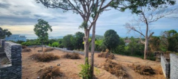  Commercial property in Ko Samui, Thailand No. 22049 2