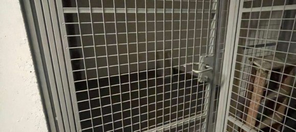 Пентхаус с 4 комнатами в Висбаден, Германия № 246080 23