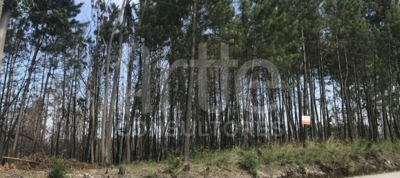 12285m² Land in Aveiro, Portugal No. 92846 2